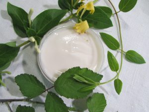 Blackberry and honeysuckle lotion