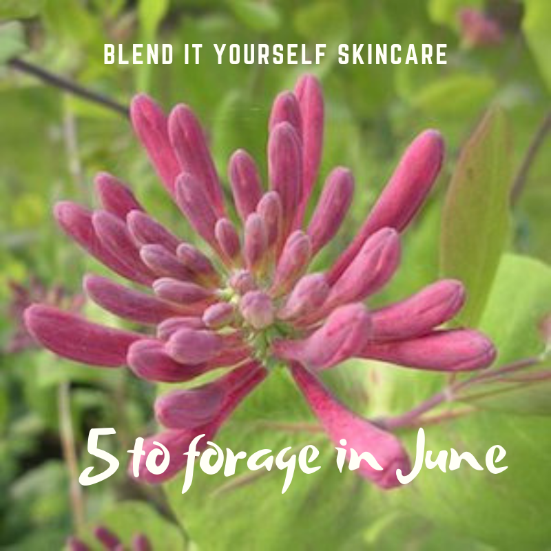 Natural Skincare ingredients to forage in June