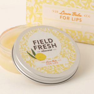 Lemon Balm for Lips made up pot
