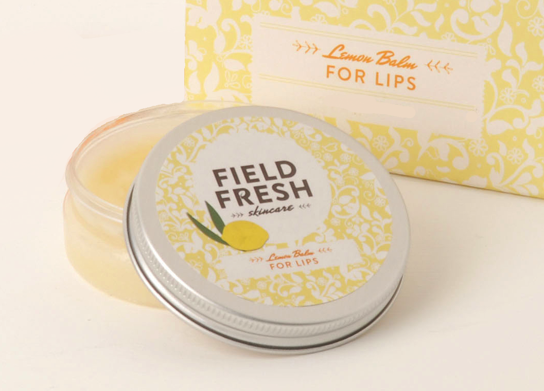 Lemon Balm for Lips made up pot