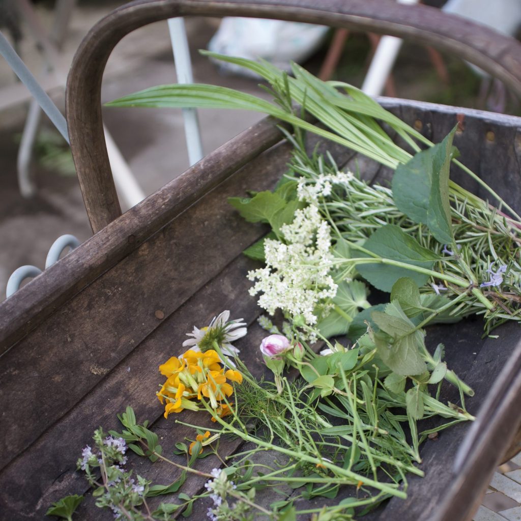 Herbs gathered ready to use